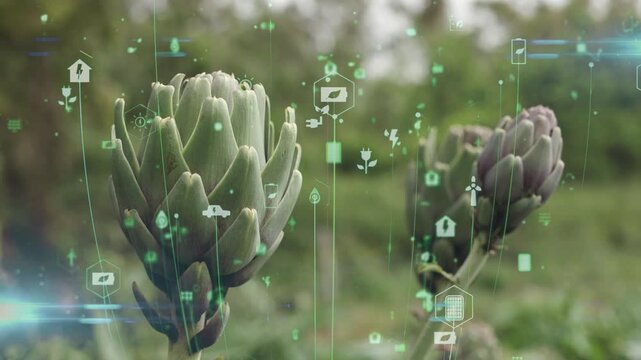 Smart digital agriculture technology by futuristic sensor data collection management by artificial intelligence to control quality of crop growth and harvest. Computer aided plantation grow concept