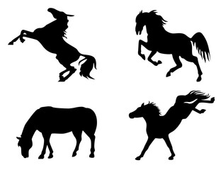 Horse silhouette on white background.