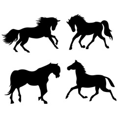 Horses Silhouettes.