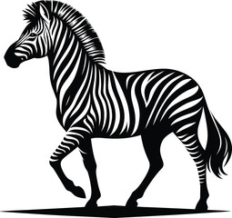 zebra vector illustration