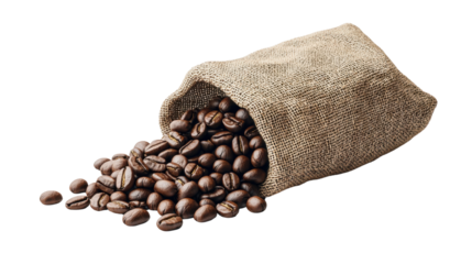 PNG Coffee beans spilling from a burlap sack on a white isolate background.