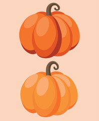 Autumn Pumpkins set vector illustration