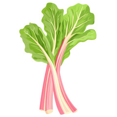 Obraz premium Fresh rhubarb stalks with vibrant green leaves on a white isolated background. transparent background.