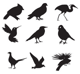 Bird Silhouettes on white background
