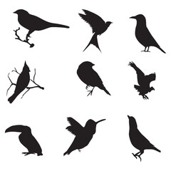 Bird Silhouettes