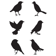 Bird Silhouettes