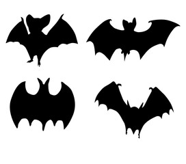 Halloween bat silhouette on black color