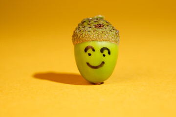 acorn on yellow background with smiley face © Simon