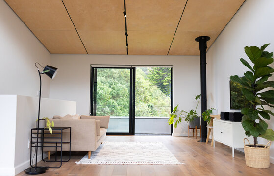Fototapeta Modern living room with large windows, indoor plants, and minimalist furniture, copy space