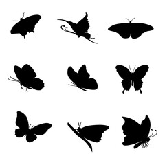 Butterflies in silhouette 