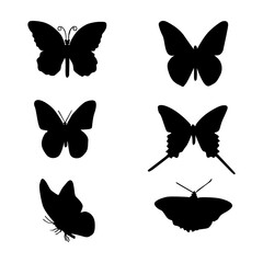 A set of butterflies in silhouette