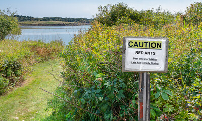 Red Ant Caution Sign:  A trail sign warns hikers of a red ant infestation during the summer months...