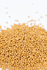 Mustard seeds on white background, natural organic seasoning