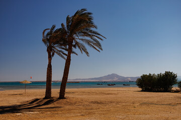 On the beach in Sharm el Sheikh, Island of Titan 