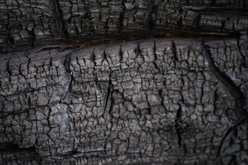 background charred surface black wood pattern wallpaper