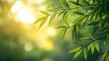 Sunlight Through Green Leaves in Nature