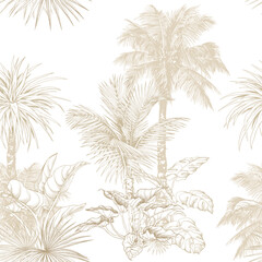 Seamless pattern with tropical trees on white background. Hand drawn linear botanical illustration.