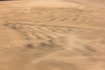An abstract image of a bird in flight created by the rippled dark sand on the beach at Harrington Beach State Park, Belgium, Wisconsin in early November