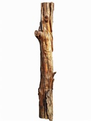 Naklejka premium A weathered tree trunk with a rough texture and visible growth rings, isolated on white background