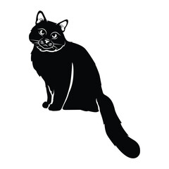 Silhouette animal cat concept isolated on white background