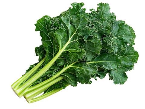 A bunch of fresh kale leaves with textured green veins, isolated on a clean transparent background, PNG file.