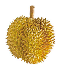 close up with durain from Thailand Asia