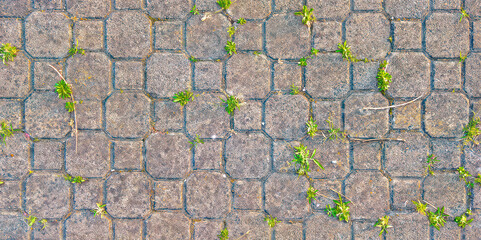 Concrete paving outdoor damaged seamless texture and background