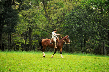 Menino cavalga em cavalo 