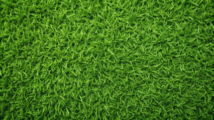 Lush green grass texture background creates vibrant and fresh atmosphere, perfect for outdoor settings or landscaping projects