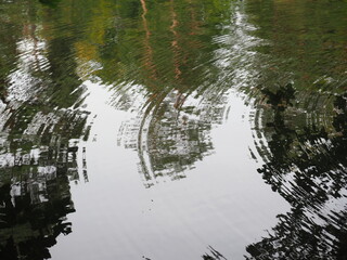Ripples in lake 
