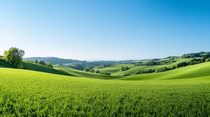 Broad Scenic View of Lush Green Fields and Rolling Hills Against a Clear Sky