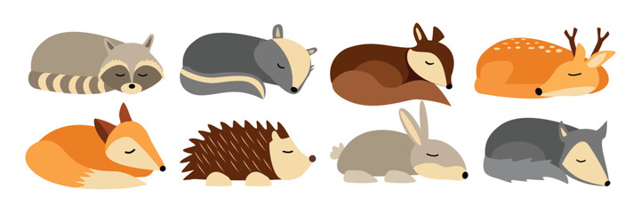 Set of cute animal sleeping. Collection of autumn sleeping animals. Colorful animal sleep illustration. Racoon. Deer. Fox. Rabbit. Squirrel. Hedgehog. Hibernate animal.