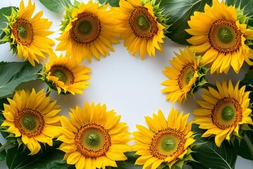 A Circle of Sunflowers Arranged Around a White Space