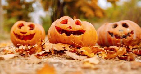 Three carved pumpkins sitting on autumn leaves in a sunny park during Halloween season. Holidays,...