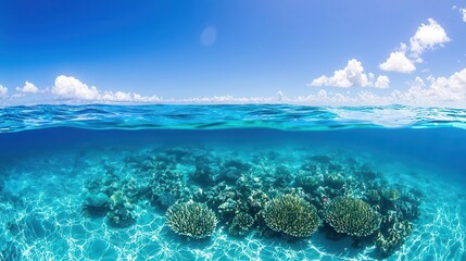 Obraz premium Tropical ocean landscape with vibrant coral reefs under the water, clear turquoise waves, vast horizon, warm sunlight, hyperrealistic, serene