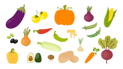 Set of colorful vegetables. Healthy organic food. Tomatoes, onion, zucchini, eggplant, potatoes, corn, peppers, beet, mushrooms, pumpkin. Farm vegetable, vector illustration, flat style.