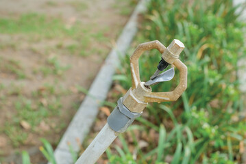 sprinkler water in the garden. Blurred background