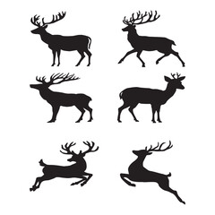 Deer silhouette on the white background.