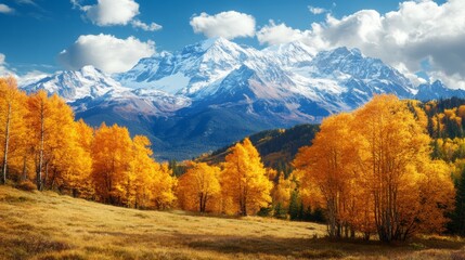 Fototapeta premium Sunny autumn mountain scene featuring vibrant yellow trees against snow capped peaks