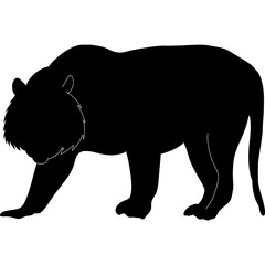 Tiger Silhouette