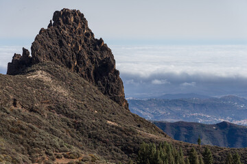 Obraz premium Typical mountain landscape in the center of the island, the rock in the background - Roque del Pino. Gran Canaria. Canary Islands. Spain.
