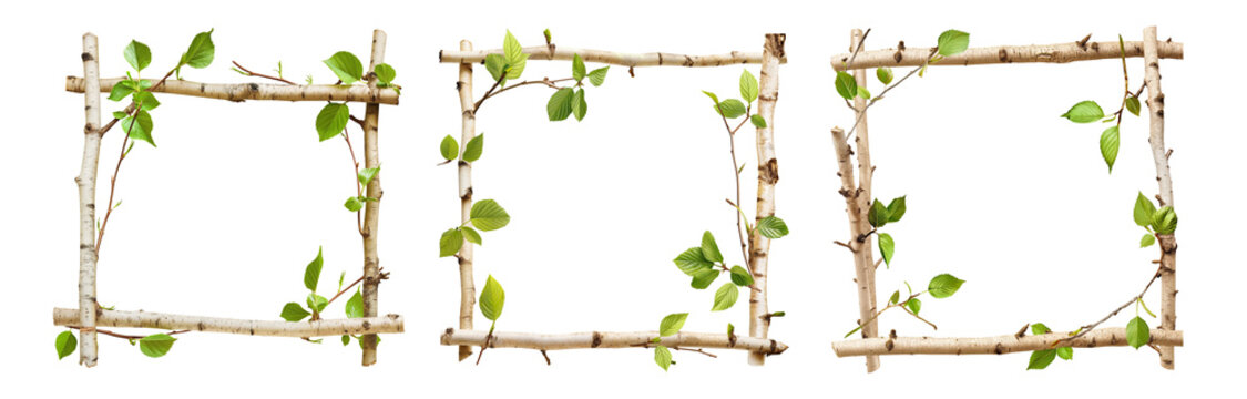 Birch sticks with leaves frame collection isolated on white or transparent background, PNG