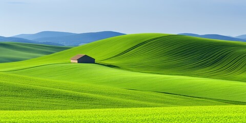 Obraz premium Rolling Green Hills with a Small House in the Landscape