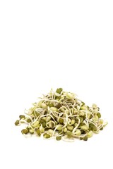Closeup of Sprouted Mung Bean or Green Gram Bean Isolated on White Background with Copy Space, Also Known as Moong Beans