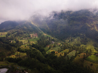 Aerial View of Lush Terraced Fields in the Mountains at Sunrise.