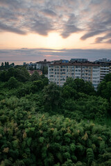 Obraz premium pink sunset in Adler against the backdrop of a bamboo grove