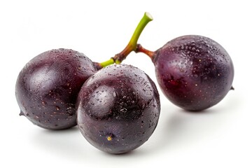 A fresh muscadine grape isolated on white