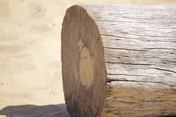 Tronco spiaggia