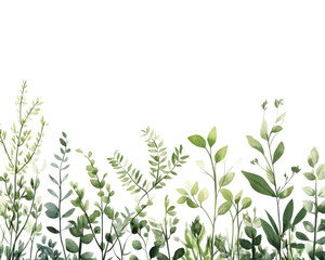 Various green plants on a white background transparent background
