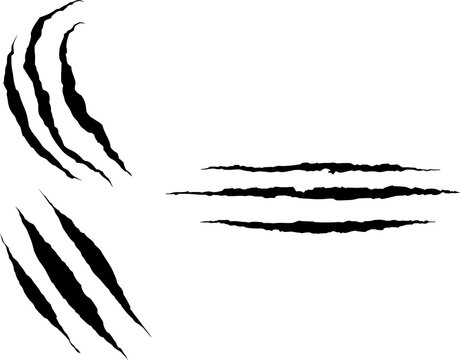 Dragon, bear and tiger claw marks, scratches and torn traces. Vector animal and monster attack marks, scars and claw slashes, lion, wild cat or dinosaur beast paw talon traces, tattoo or t-shirt print